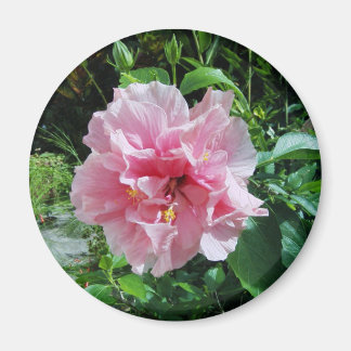 Roze Dubbele Hibiscusmagneet Magneet