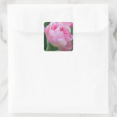 Roze Dubbele Tulpen Vierkante Sticker (Tas)