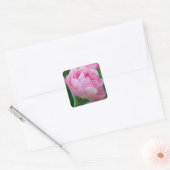 Roze Dubbele Tulpen Vierkante Sticker (Envelop)