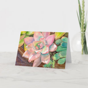 Roze Echeveria wenskaart van Debra Lee Baldwin Kaart