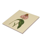 Roze Echinacea Botanische Tan Keramische Tile Tegeltje (Zijkant)