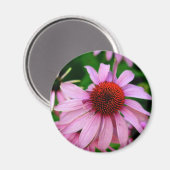 roze echinacea flower magnet (Voorkant / Achterkant)