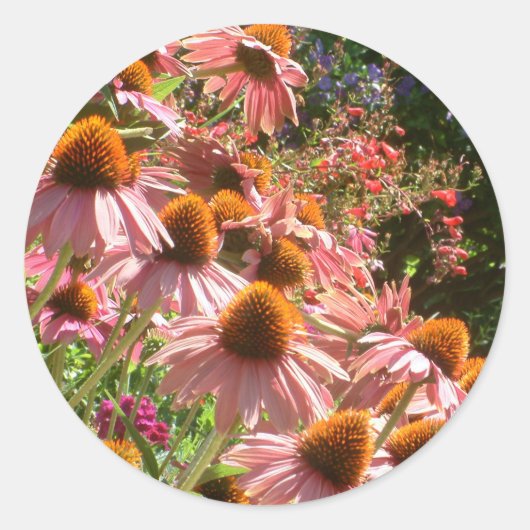 Roze Echinacea Flowers Ronde Envelop Seal Sticker (Voorkant)