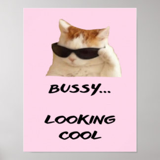 Roze eenvoudig Poster citaat voor kattenliefhebber
