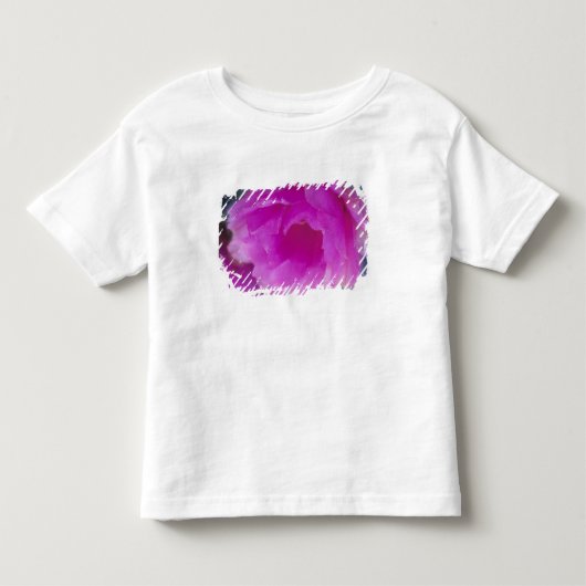 Roze egelcactus bloem (Echinocereus Kinder Shirts (Voorkant)