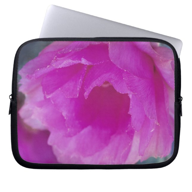 Roze egelcactus bloem (Echinocereus Laptop Sleeve (Voorkant)