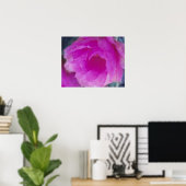 Roze egelcactus bloem (Echinocereus Poster (Thuiskantoor)