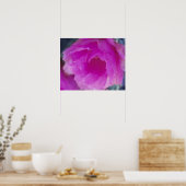 Roze egelcactus bloem (Echinocereus Poster (Keuken)