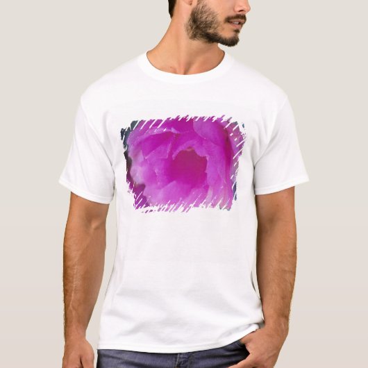 Roze egelcactus bloem (Echinocereus T-shirt (Voorkant)