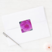Roze egelcactus bloem (Echinocereus Vierkante Sticker (Envelop)