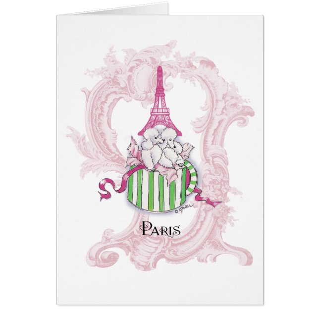 Roze Eiffeltowerspoodsen in doos (Voorkant)