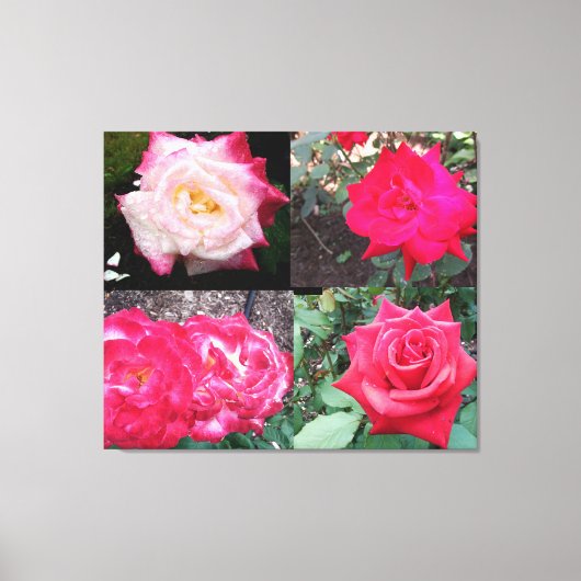 ROZE ELEGANT ROOS CANVAS PRINT (Voorkant)