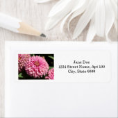 Roze Elegant Zinnia Etiket (Insitu)