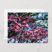 Roze elegante bloeiende Hondenboom Briefkaart (Voorkant / Achterkant)