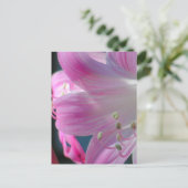 Roze Embrace Macro Flower Briefkaart (Staand voorkant)