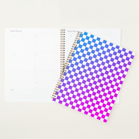 roze en blauw Geruit 2025 Planner (Display)