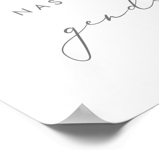 Roze en blauwe ballonnen poster (Hoek)