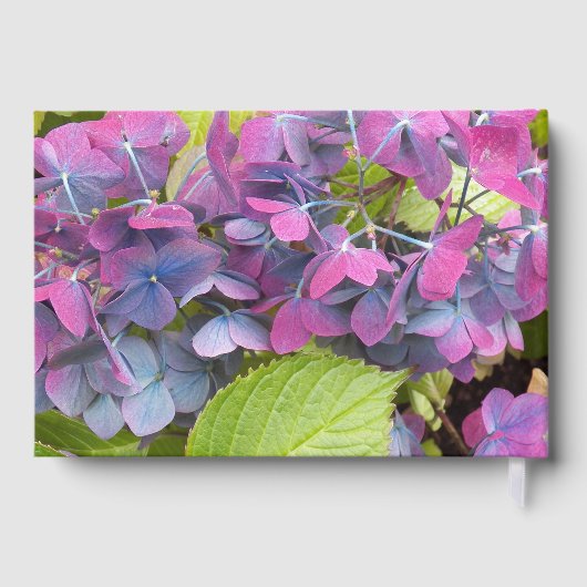 Roze en blauwe bloemblaadjes Baby shower Gastenboek (Achterkant)