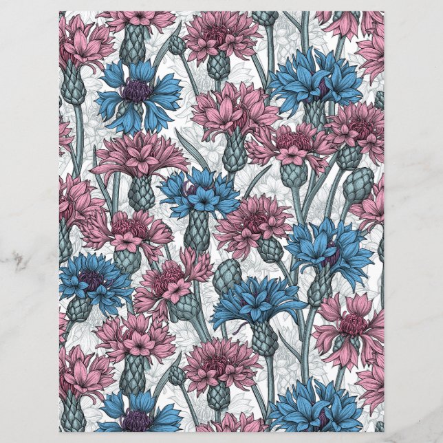 Roze en blauwe bloemen, wilde bloemen op wit (Voorkant)