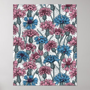 Roze en blauwe bloemen, wilde bloemen op wit poster