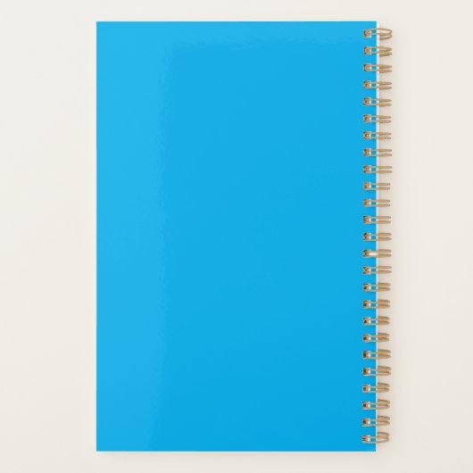 Roze en blauwe doedel patroon planner (Achterkant)