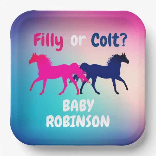 Roze en blauwe filly of kleur sekse onthullen papieren bordje (Voorkant)