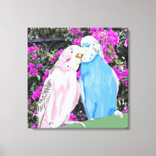 Roze en blauwe kissende boedgies en Bougainvillea Canvas Afdruk
