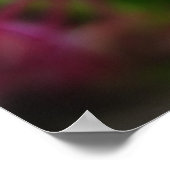 Roze en blauwe lentbloemen poster (Hoek)