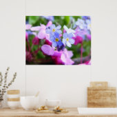 Roze en blauwe lentbloemen poster (Keuken)