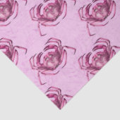 Roze en Blauwe Nautilsche Serie Ontwerp 2 Tissuepapier (Detail)