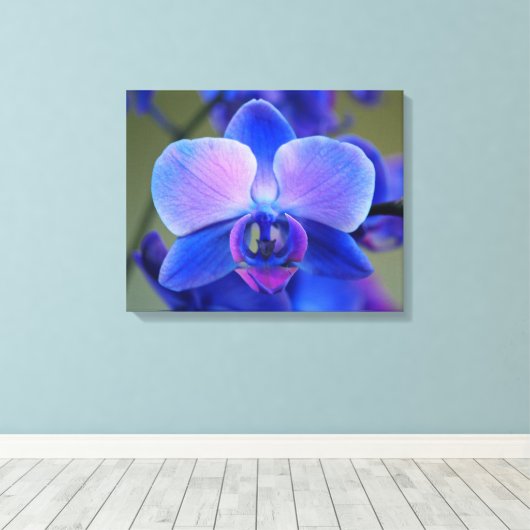 Roze en Blauwe Orchidee Canvas Afdruk (Insitu (Houten vloer))