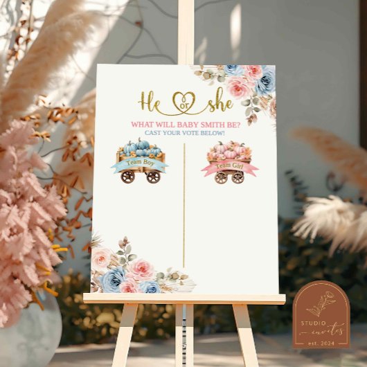 Roze en Blauwe Pumpkin Carriage Stembord Poster