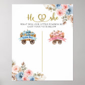 Roze en Blauwe Pumpkin Carriage Stembord Poster (Voorkant)