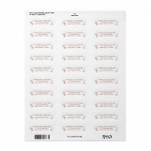 Roze en Blauwe Teddibeer Retouradres Etiket (Full Sheet)