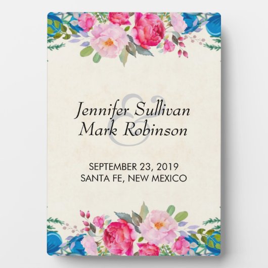  roze en blauwe ventilatorgrens fotoplaat (voorkant)