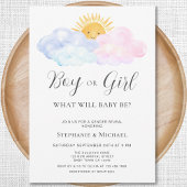 Roze en blauwe Waterverf Gender onthullen Kaart