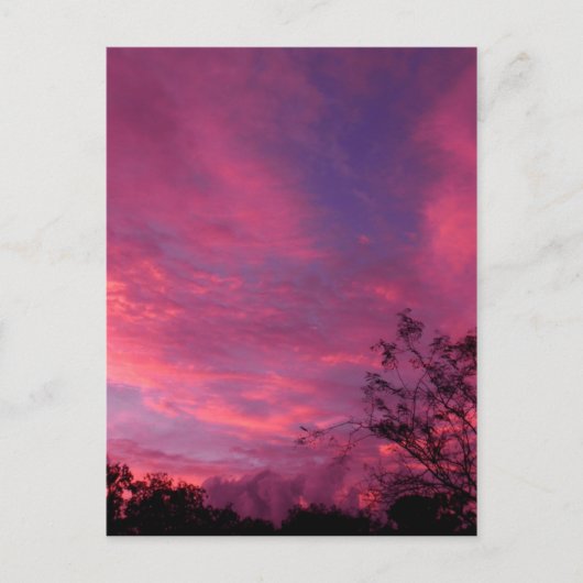Roze en Blue Sunset Sunrise Sky Skies Foto Briefkaart (Voorkant)