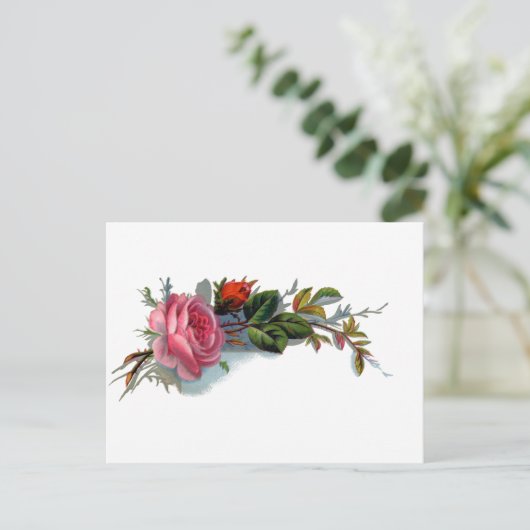 Roze en Bud Victoriaans Briefkaart (Staand voorkant)