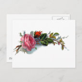 Roze en Bud Victoriaans Briefkaart (Voorkant / Achterkant)