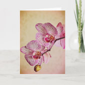 Roze en Cream Orchids Art Note Kaart (Voorkant)