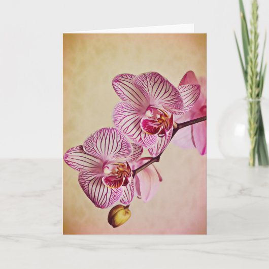 Roze en Cream Orchids Art Note Kaart (Voorkant)
