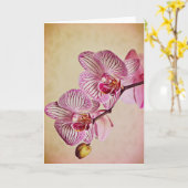 Roze en Cream Orchids Art Note Kaart (Gele Bloem)