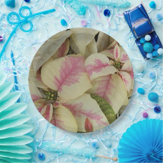 Roze en Cream Poinsettias Floral Papieren Bordje (Feest)