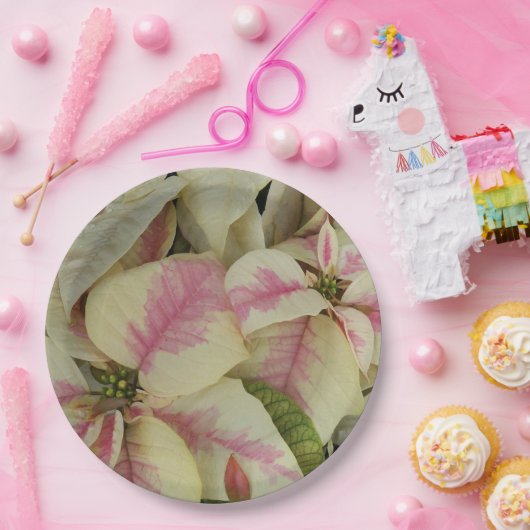 Roze en Cream Poinsettias Floral Papieren Bordje (Feest)