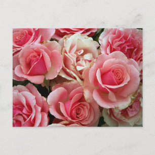 Roze en Cream Rozen Bouquet Floral Flowers Briefkaart