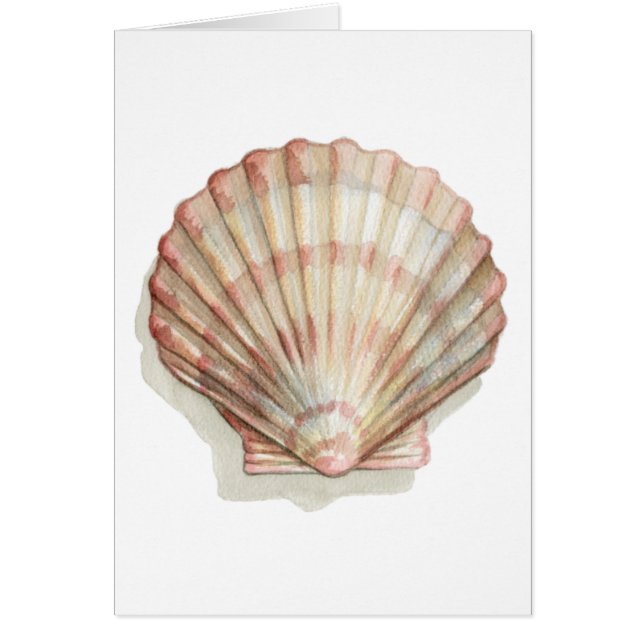 Roze en Cream Seashell (Voorkant)