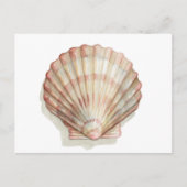 Roze en Cream Seashell Briefkaart (Voorkant)