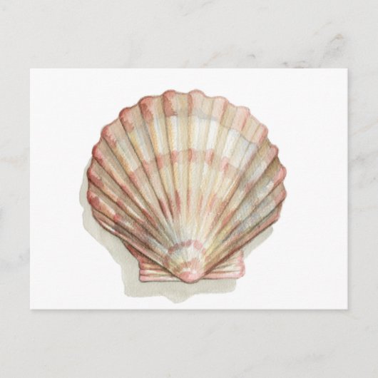 Roze en Cream Seashell Briefkaart (Voorkant)
