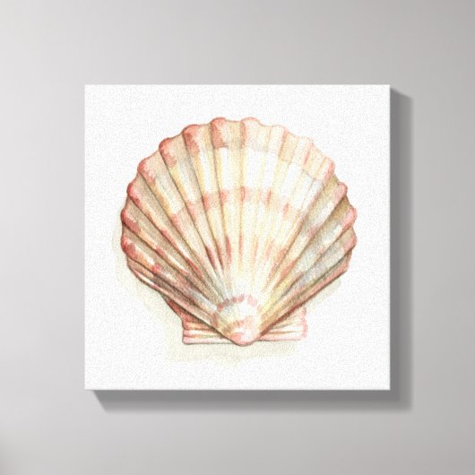 Roze en Cream Seashell Canvas Afdruk (Voorkant)