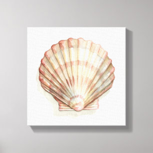 Roze en Cream Seashell Canvas Afdruk